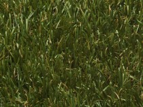Sandringham Artificial Grass