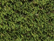 Turf & Artificial Grass