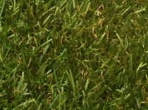 Rippon Artificial Grass