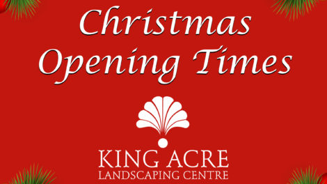 Christmas Opening Times