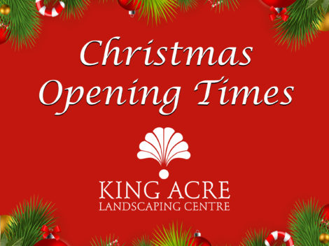Christmas Opening Times