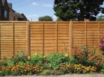 Fence Panels